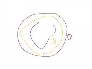 lecture 4 of bio 110