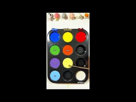 Colour Coding with Fun