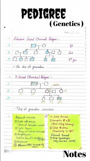 Pedigree | Pedigree CSIR NET | pedigree Analysis | Genetics #csirnet #genetics #csirnetlifescience