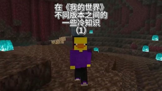 在《我的世界》不同版本之间的一些冷知识（1）