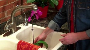 Miracle-Gro 8 Qt. Orchid Coarse Soil Amendment Mix 74778307