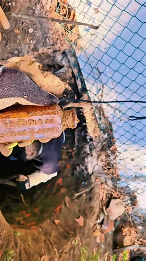 Life is this I like this metal detecting adventure time #bottledigging