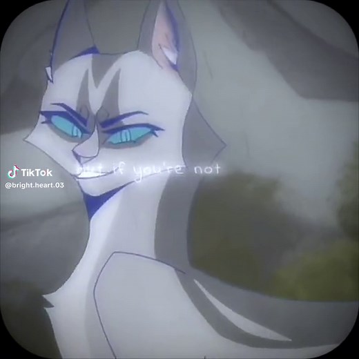 Exploring the Enigmatic Silverstream in Warrior Cats