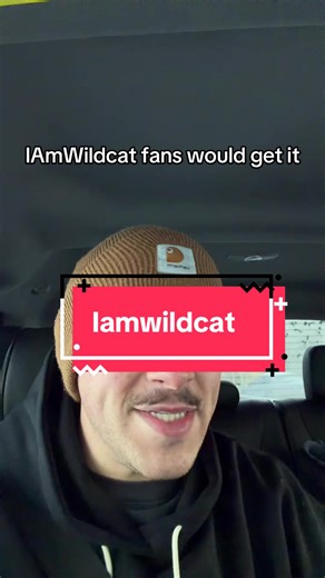 I’ll tell you what’s wrong with it #vanoss #vanossgaming #wildcat #youtube #funnymoments