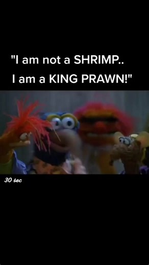 I Am Not a Shrimp - I Am a King Prawn!