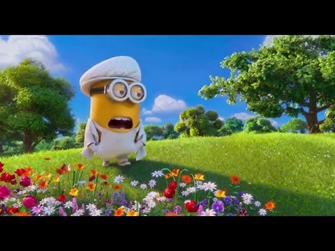 Despicable Me 2, minions, wedding song
