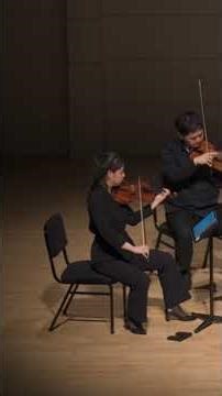 violin excerpt - tchaikovsky string quartet 2nd #tchaikovsky #stringquartet#ensemble #ardeur#violin