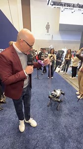 Walking the world’s most advanced robot dog!