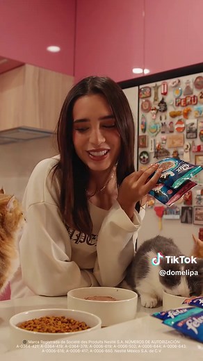 Dicen que cada gato tiene su personalidad... y después de vivir con tres, lo puedo confirmar 🤭🐾 ¿Cuál creen que sería el más travieso? 👀 @purinamx #GatosFelix #Publicidad