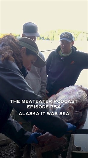 Alaska's booming sea otter population survived an impressive century before being almost completely wiped out by fur traders. | MeatEater