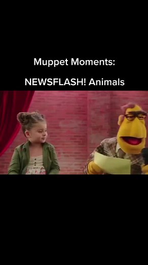 Kids Being Kids: Muppet Moments Newsflash