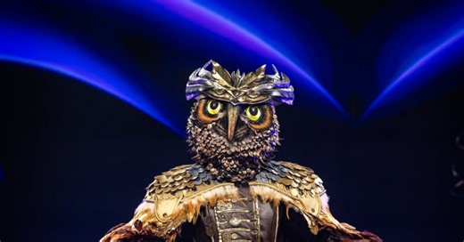 Un ancien Diable rouge fait sensation dans la version flamande de « The Masked Singer » : « C’était beaucoup plus excitant qu’un match de Ligue des champions » (vidéos)