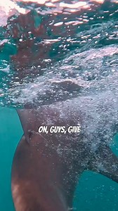 35K views · 593 reactions | This shark was pyscho... | Landshark Outdoors | Facebook