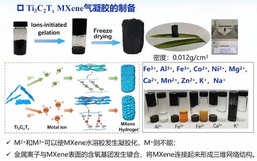西安电子科技大学 周雪皎-二维MXene材料的制备及其吸波性能研究
