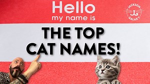 Top 10 Popular Cat Names!
