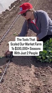 We didn’t build a $100,000 market farm by working harder — we built it by working smarter. With just two people running everything, we relied on tools and systems that saved time, reduced physical strain, and kept our days efficient. These were the tools that helped us: • Grow more with less effort • Stay organized week after week • Show up to market prepared and confident Our core tools included: • Paperpot Transplanter • Kwik Klik Drop Seeder • Tilther • Quick Cut Greens Harvester • BCS Tracto