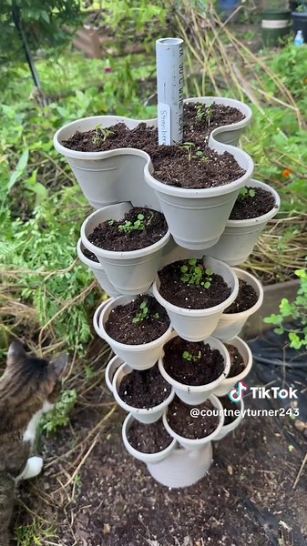 DIY Strawberry Tower Project Using Dollar Tree Supplies