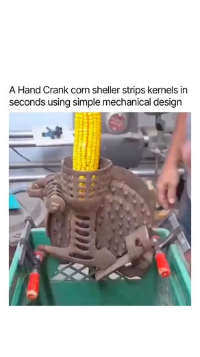 𝐇𝐈𝐒𝐓𝐎𝐑𝐘| 𝐈𝐍𝐅𝐎 | 𝐖𝐄𝐀𝐋𝐓𝐇 on Instagram: "A hand-crank corn sheller can strip kernels off a cob in seconds — all through simple mechanics. As the cob feeds into a rotating drum filled with metal teeth, each turn of the handle pops the kernels free while the empty cob exits cleanly on the other side. No electricity. No complexity. Just leverage and motion doing the work. Farmers have used tools like this for generations, and they’re still perfect for small-scale harvesting and home f