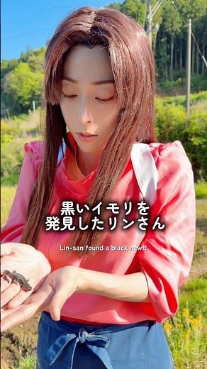 野生の黒イモリ発見‼️なんとフグと同じ毒（テトロトドキシン）を持っているのだが…⁈ #spiritedaway