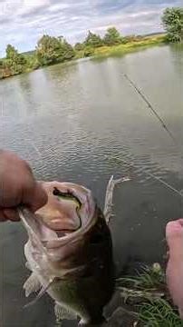 I Caught a Monster Bass on my New Travel Fishing Rod!