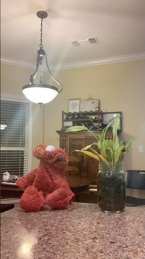 elmo world exercise flims