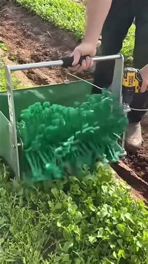 How tea is formed using a specially prepared processing tool