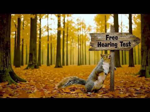 Untreated Hearing Loss and Serious Falls (Squirrel) - CTV Commercial 16:9 30 Sec