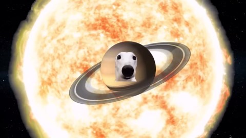 Ranking the Most Extreme Stellar Objects by Habitability!