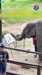 This elephant can definitely paint better than I do | Genius Club
