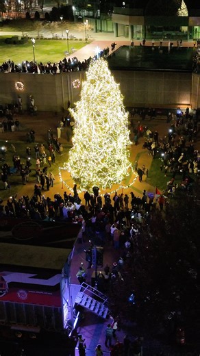 4.8K views · 687 reactions | Winston Salem Holiday Parade & Tree...