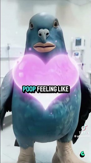 #ai poop pigeon #pigeon