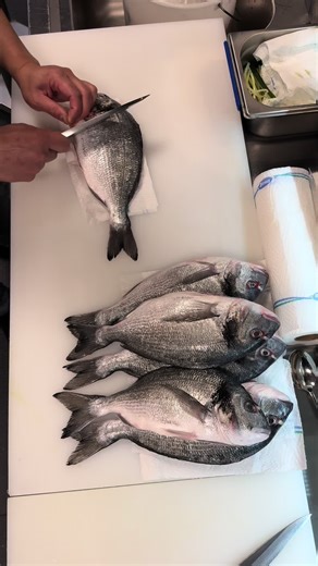 Delicious Dorade Sushi Creations