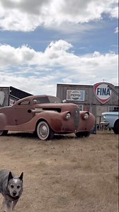 310K views · 7.4K reactions | It’s a beautiful war. The freedom and...