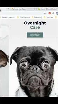 Cómo Crear un Sitio Web con Elementor Paso a Paso | Tutorial para Principiantes