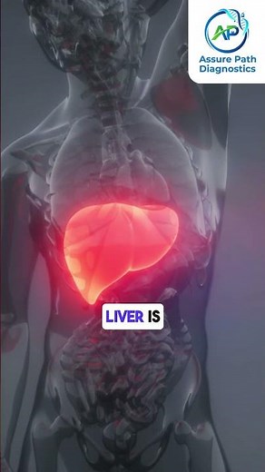 Liver Function Test