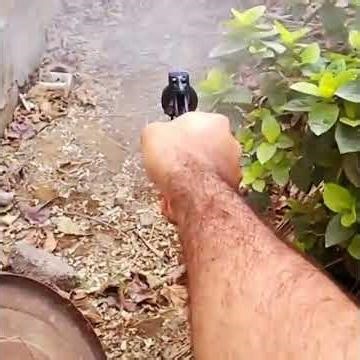 Shooting 32 Long Revolver in single and Double Action