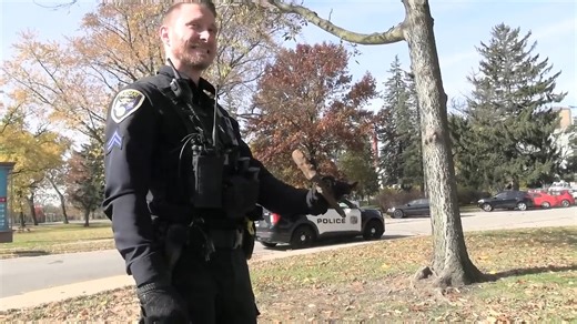 The Magnet Hit Something Heavy… And Both Guns Surfaced Together