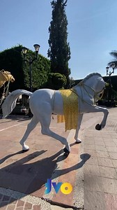 #Navidad #Moroleon 🎄🎅🏼🪅 | TVO