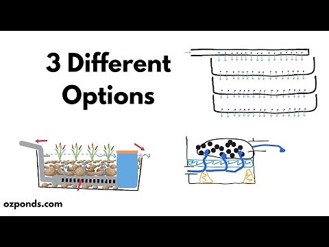 How to Make a Biological Pond Filter and How They Work