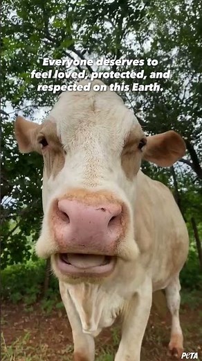 Earth Day reminder: We share the planet with them 🌍