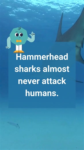 9K views · 25 reactions | Sharks have a bad reputation, but are they...