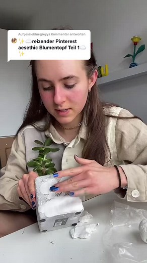 Jessie Bluegrey on TikTok