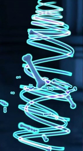 Mr. Bones' Spiral Bone Vortex