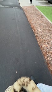 🎵estoy contigo y to’ se siente bien cabrón, se puso chingón🎵 | Simpson Ahuevo