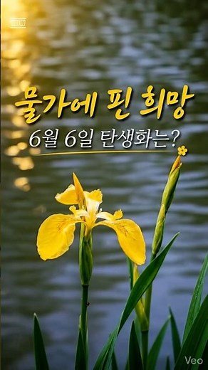 이 탄생화 꽃말, 왜 ‘믿는 자의 행복’일까요? #탄생화 #6월6일탄생화 #꽃말 #희망 #위로 #감성 #꽃이야기 #노랑꽃창포 #YellowIris