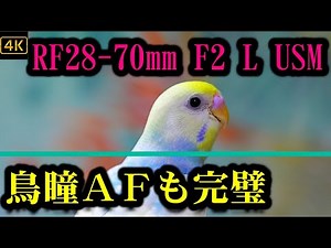 キヤノンの神レンズ RF28-70mm F2 L USM