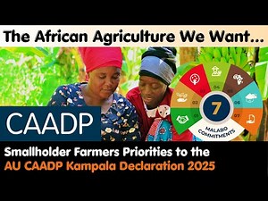 The Agriculture We Want!, Farmers key demands towards the AU CAADP Kampala Declaration 2025