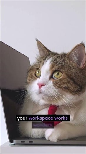 Cat on Your Laptop Again? Here’s Why! 😼💻 #CatBehavior #CatFacts #CatLovers