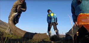 Scientists Sequenced Million-Year-Old Mammoth DNA, the Most Ancient Ever