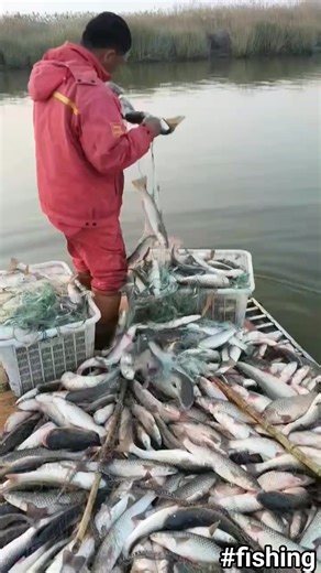 fishing 🐟 🐠 #fishing #fish | Fishing Heroes